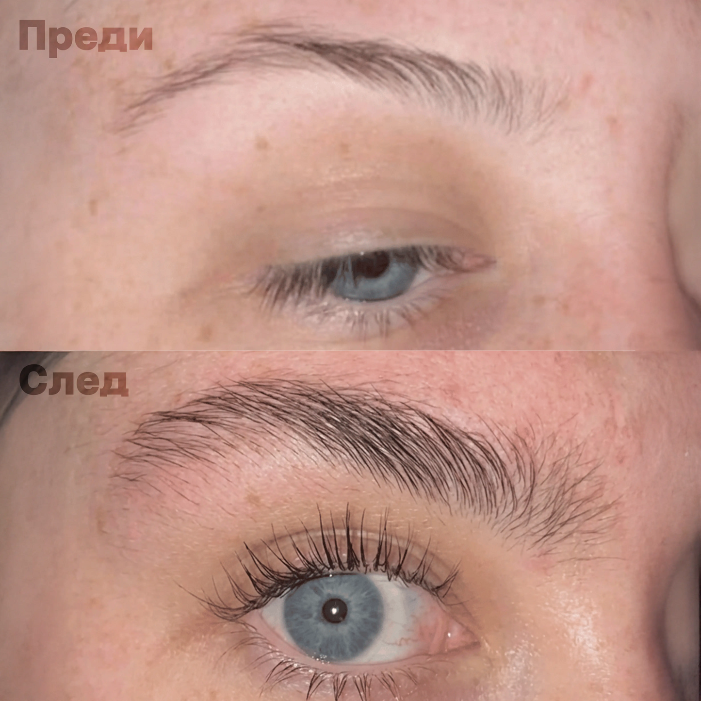 XEPA® Серум за растеж на вежди